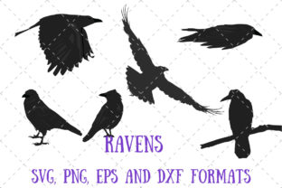 6 Ravens Set Review: A Gothic Charm for Real Projects
